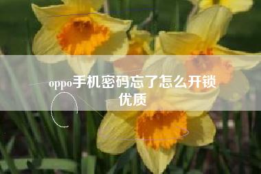 oppo手机密码忘了怎么开锁
优质  第10张