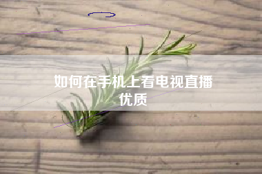 如何在手机上看电视直播
优质  第8张