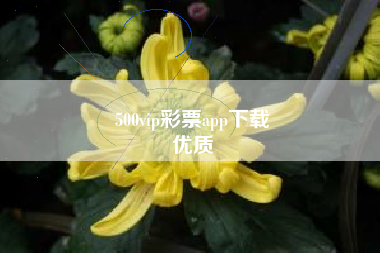 500vip彩票app下载
优质  第11张