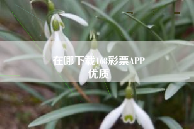 在哪下载168彩票APP
优质  第10张