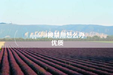 apple id被禁用怎么办
优质  第6张