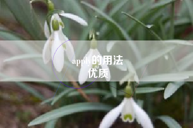 apply的用法
优质  第7张