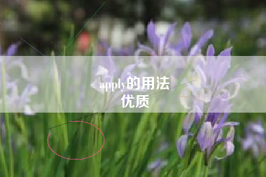 apply的用法
优质  第5张