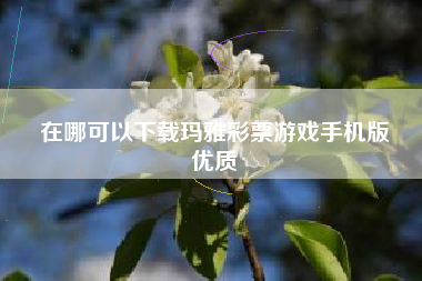 在哪可以下载玛雅彩票游戏手机版
优质  第6张