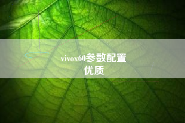 vivox60参数配置
优质  第3张