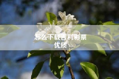 怎么下载吉利彩票
优质  第2张