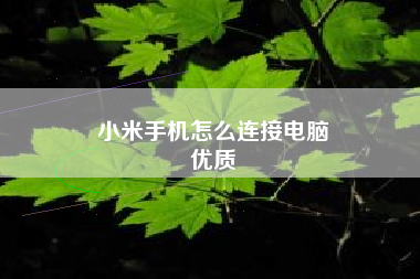 小米手机怎么连接电脑
优质  第5张