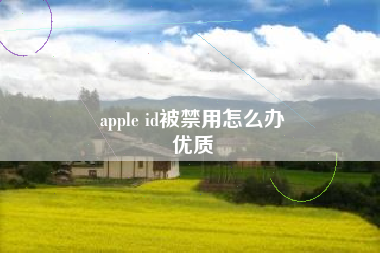 apple id被禁用怎么办
优质  第2张