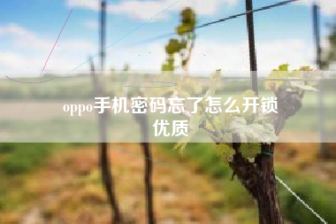 oppo手机密码忘了怎么开锁
优质  第3张