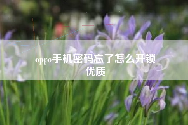 oppo手机密码忘了怎么开锁
优质  第2张