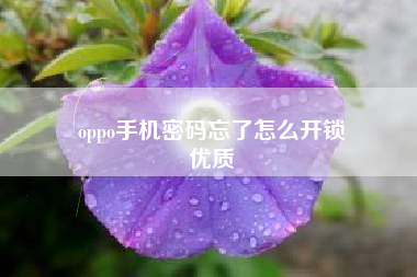 oppo手机密码忘了怎么开锁
优质  第1张