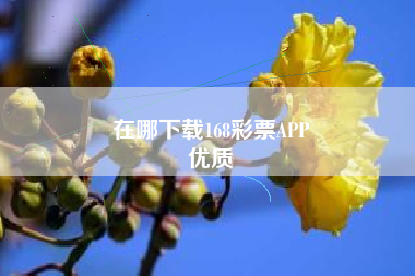 在哪下载168彩票APP
优质  第1张