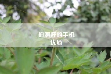 拍照好的手机
优质  第1张