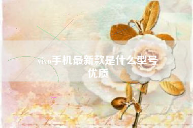 vivo手机最新款是什么型号
优质