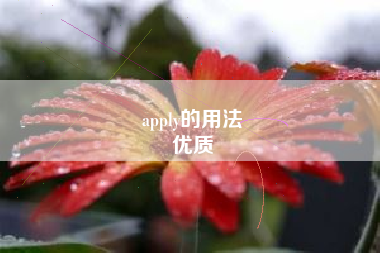 apply的用法
优质  第1张