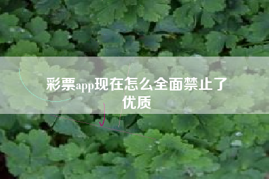 彩票app现在怎么全面禁止了
优质  第1张