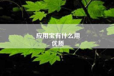 应用宝有什么用
优质  第1张